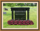  Baby Grave in Lacombe, Alberta