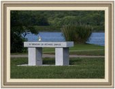 Memorial-Bench-Dog-Picture