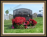    Flower Graphic Design Tombstone Tombstone 