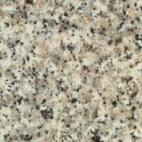   Sahara Beige Granite For Monuments And Statues 
