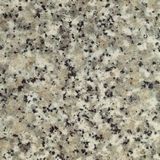   Beige Granite For Personalized Garden Stones 