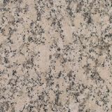   Autumn Brown Granite For Gravestone Examples 