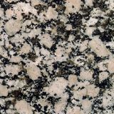   Autumn Brown Granite For Monuments 