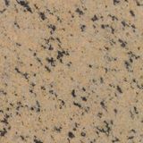   Black And Gold Granite For Statues And Monuments 