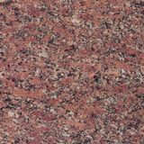   Multicolor Red Granite For Angel Tombstone 