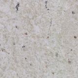   White Granite For Granite Tombstone 